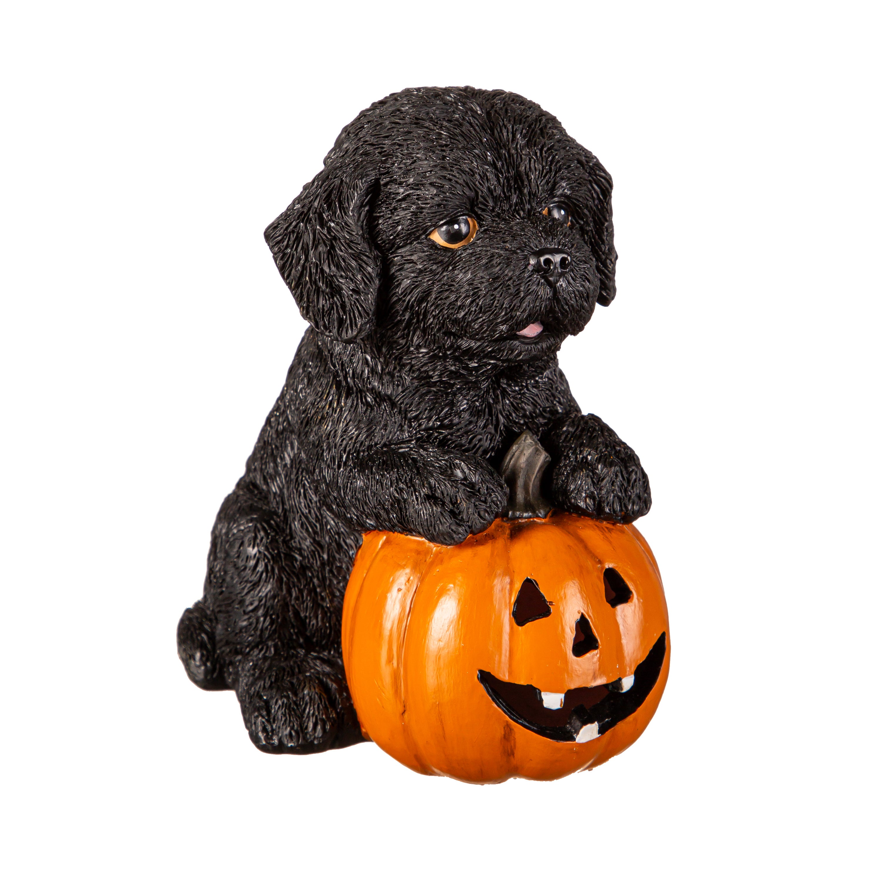 5" LED Resin Halloween Dog Tabletop Decor 5 Assorted