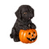 5" LED Resin Halloween Dog Tabletop Decor 5 Assorted