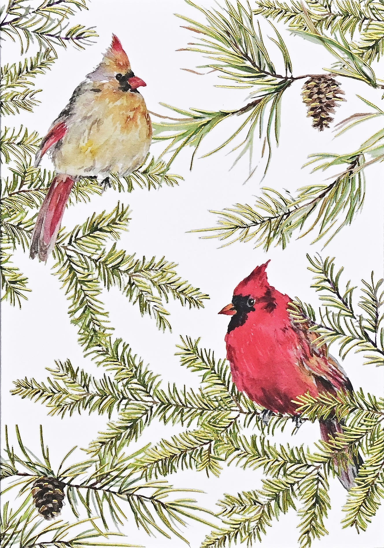 Cardinals in Evergreen Small Boxed Holiday Cards by Peter Pauper Press