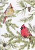 Cardinals in Evergreen Small Boxed Holiday Cards by Peter Pauper Press