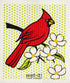 Cardinal Swedish Cloth