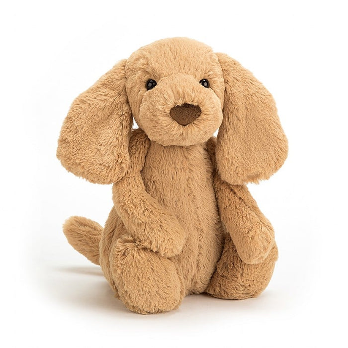 Bashful Toffee Puppy - Little By Jellycat