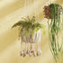 Boston Fern Drop-In 16" - View 2
