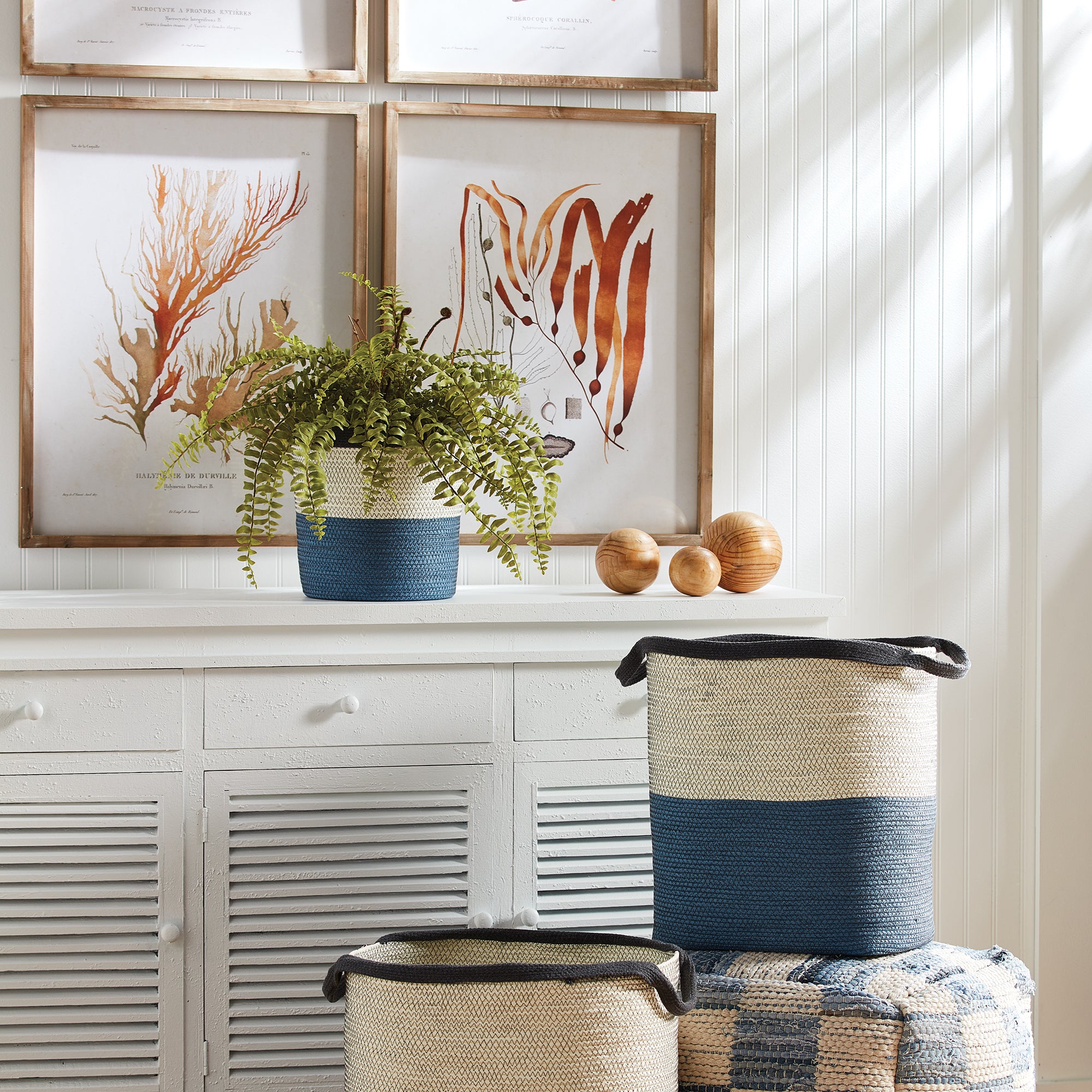 Boston Fern Drop-In 16" - View 4