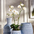 PHALAENOPSIS X 2 DROP-IN 23" - view 2