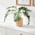 Split Leaf Selloum Drop-In 22.5" - View 3