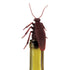 CORKROACH BOTTLE STOPPER