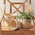 Cane Rattan Mini Round Baskets, Set Of 3 - View 3