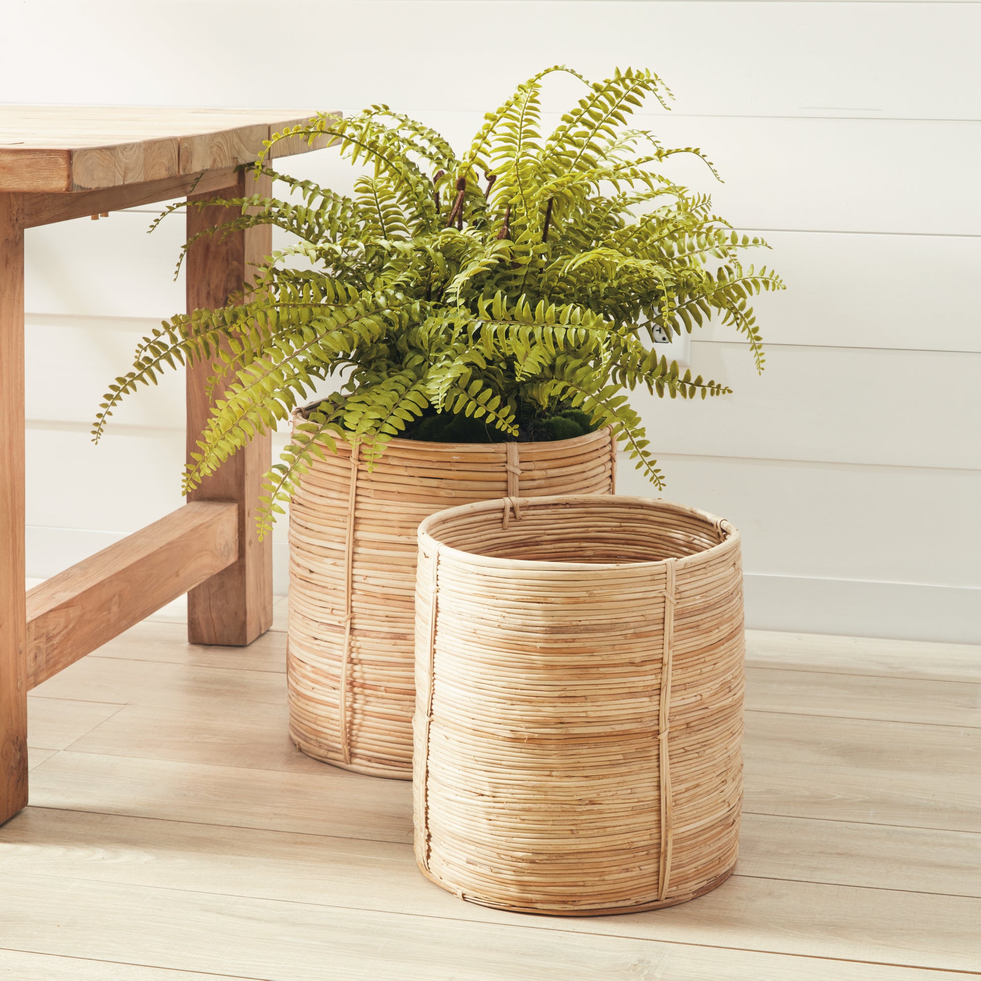 Cane Rattan Round Tree Baskets, Set Of 2 - View 2