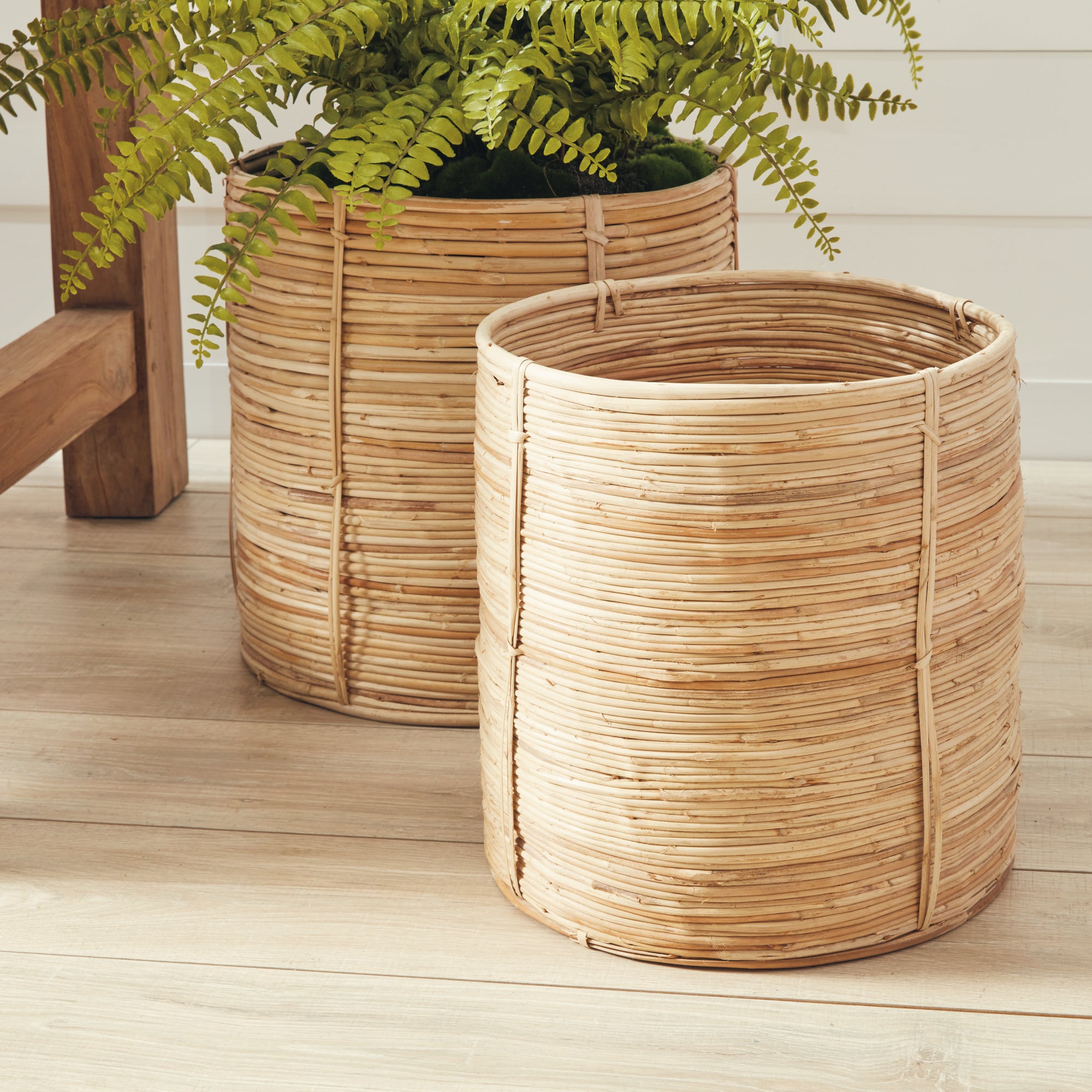 Cane Rattan Round Tree Baskets, Set Of 2 - View 3
