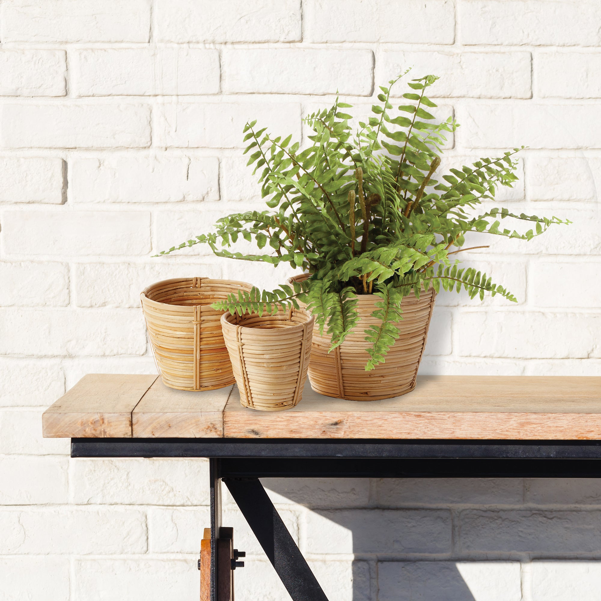 CANE RATTAN MINI ROUND TAPERED BASKETS, SET OF 3 - view 4