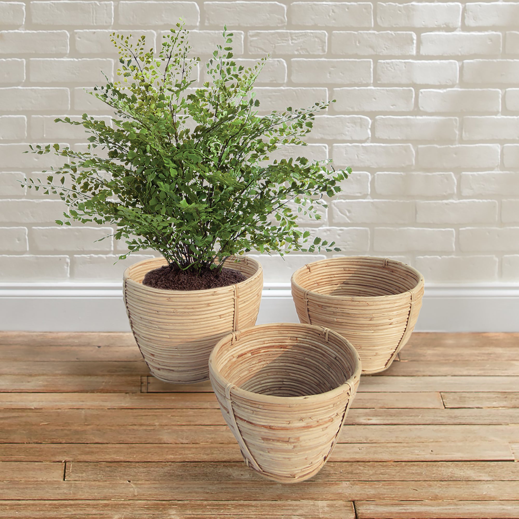 CANE RATTAN ROUND TAPERED BASKETS, SET OF 3 - view 2