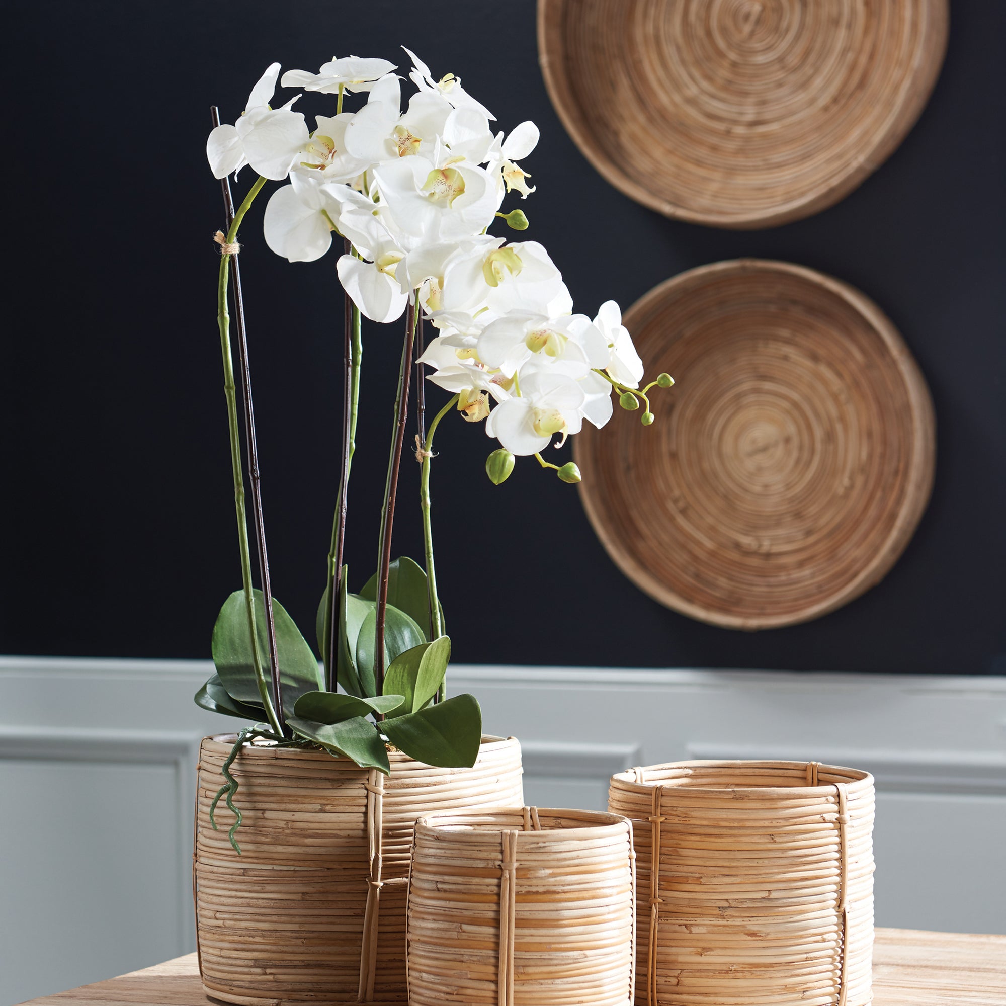 Phalaenopsis Orchid Drop-In 30" - View 3