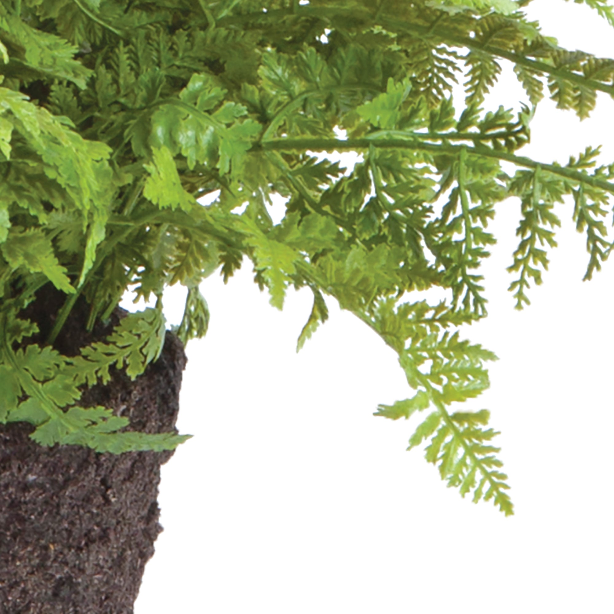 Soft Fern Drop-In 10.5" - View 4