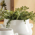 Maidenhair Drop-In 18" - View 3