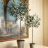 Olive Tree Potted 30" - View 2