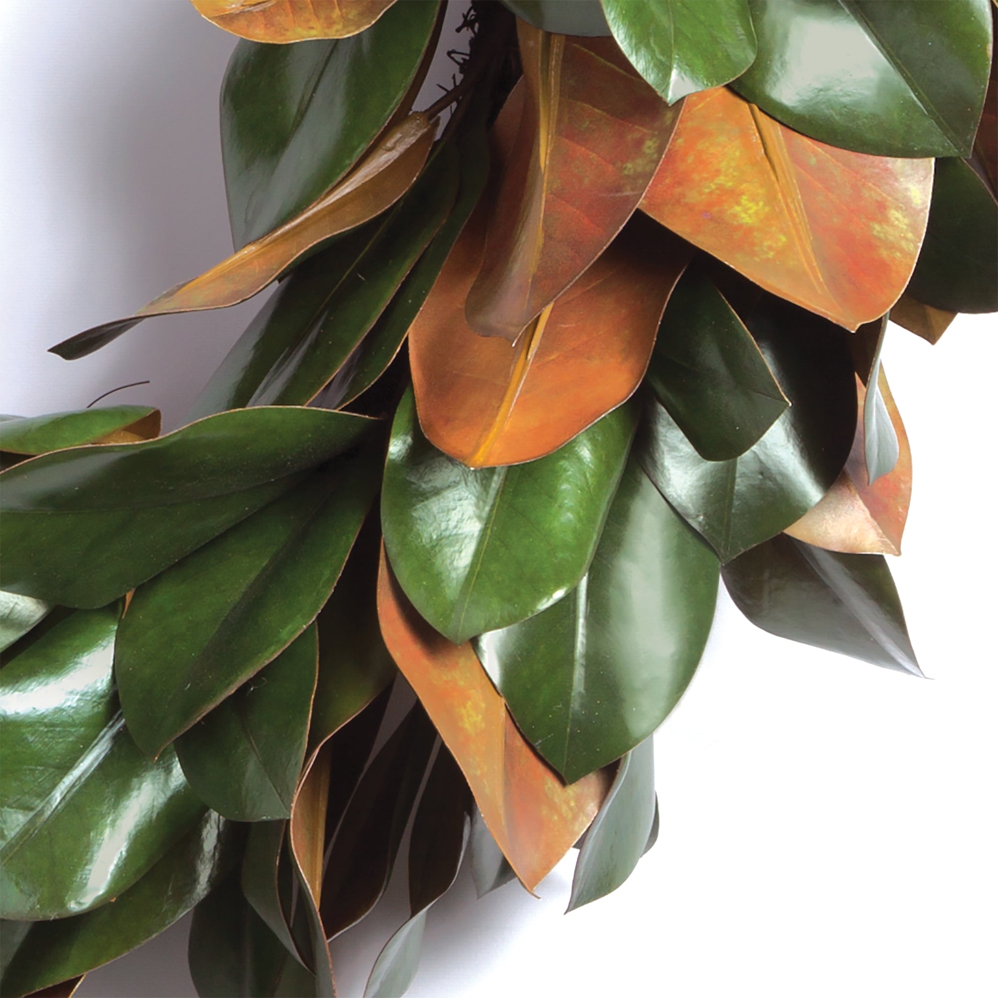 GRAND MAGNOLIA LEAF WREATH 24" - view 3