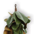 Grand Magnolia Leaf Garland 72" - View 2