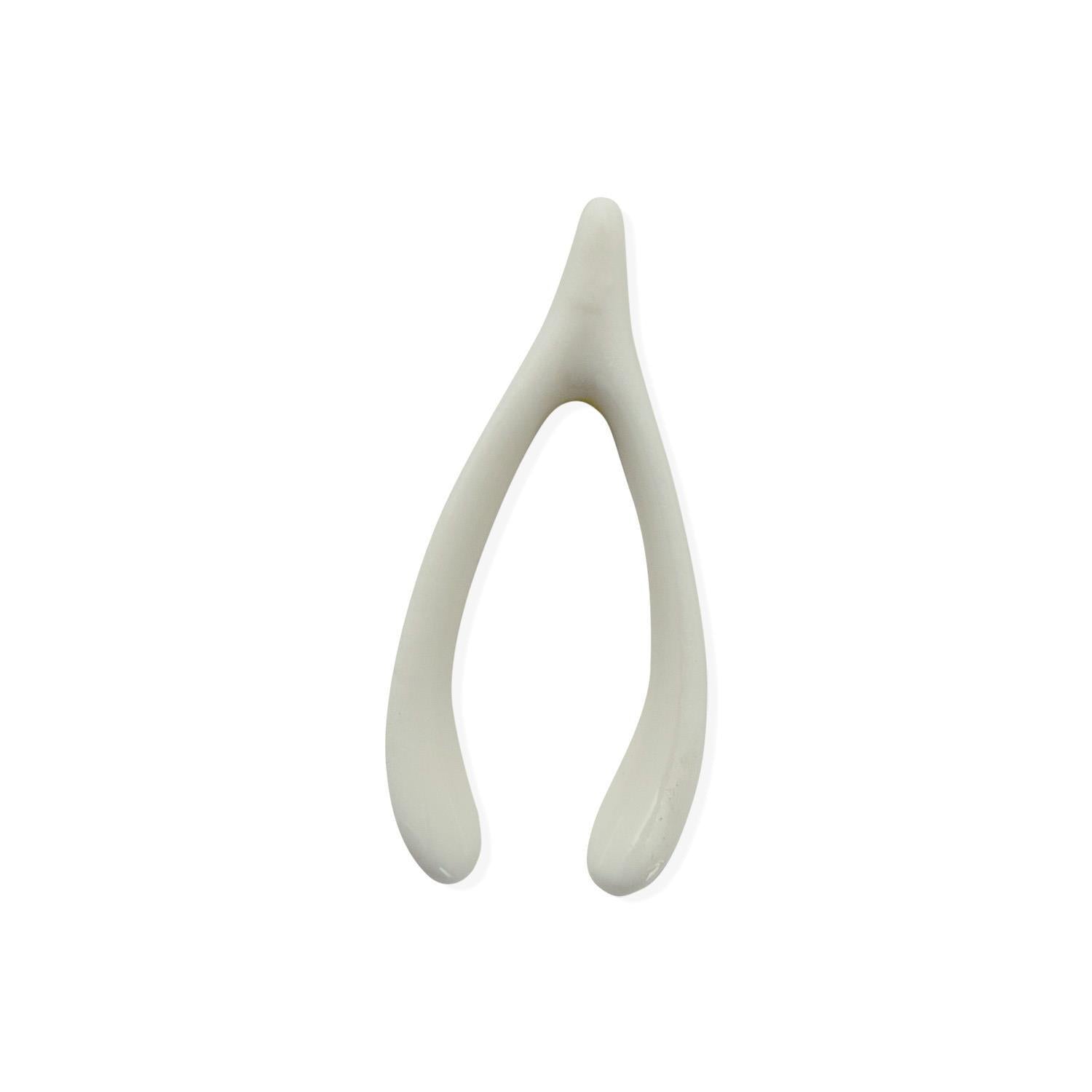 Wish Bone in Matchbox