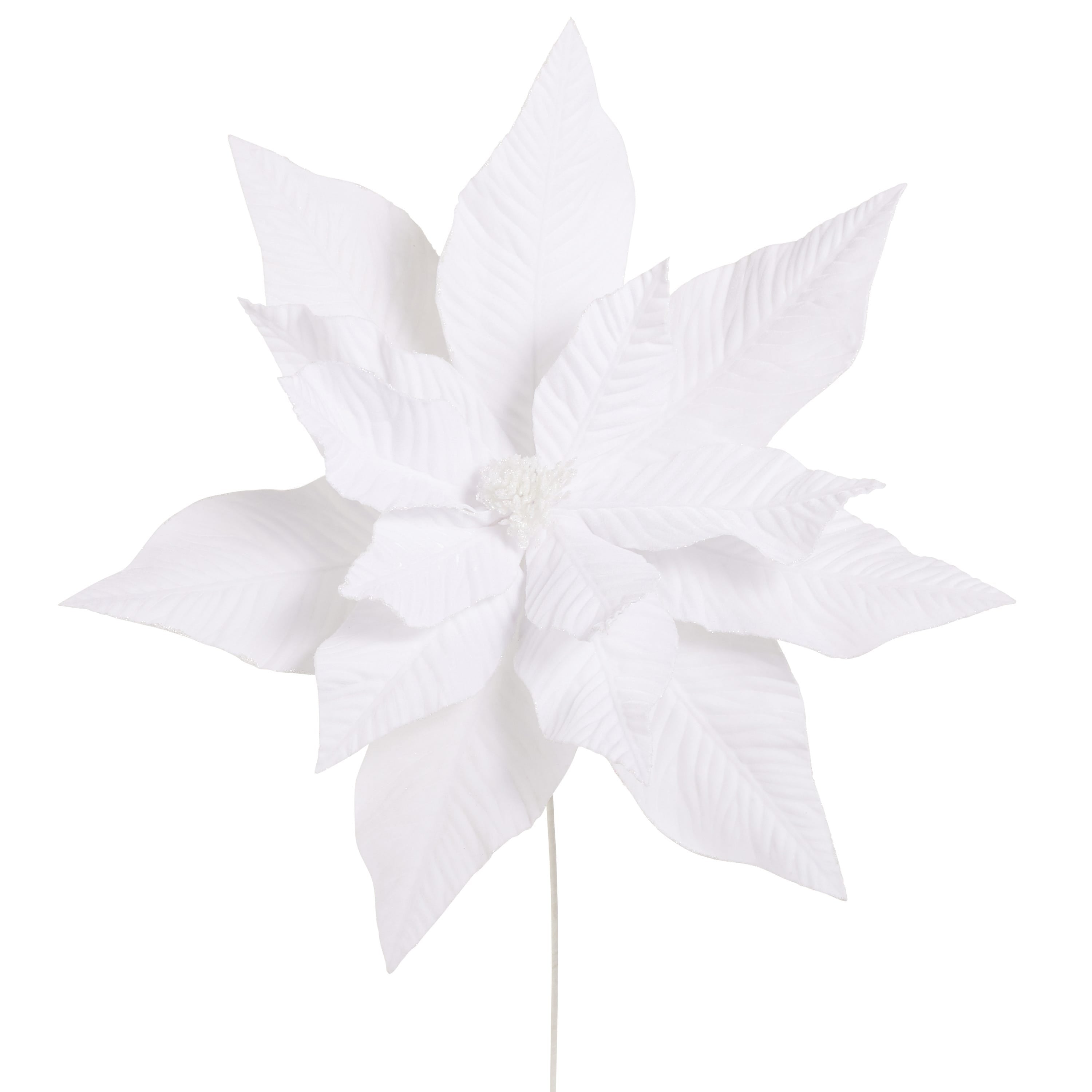 28 White Velvet Poinsettia - A. Dodson's
