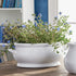 Bradford Oval Cachepot - View 4