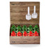 Red and Green Gifts Taper Holders