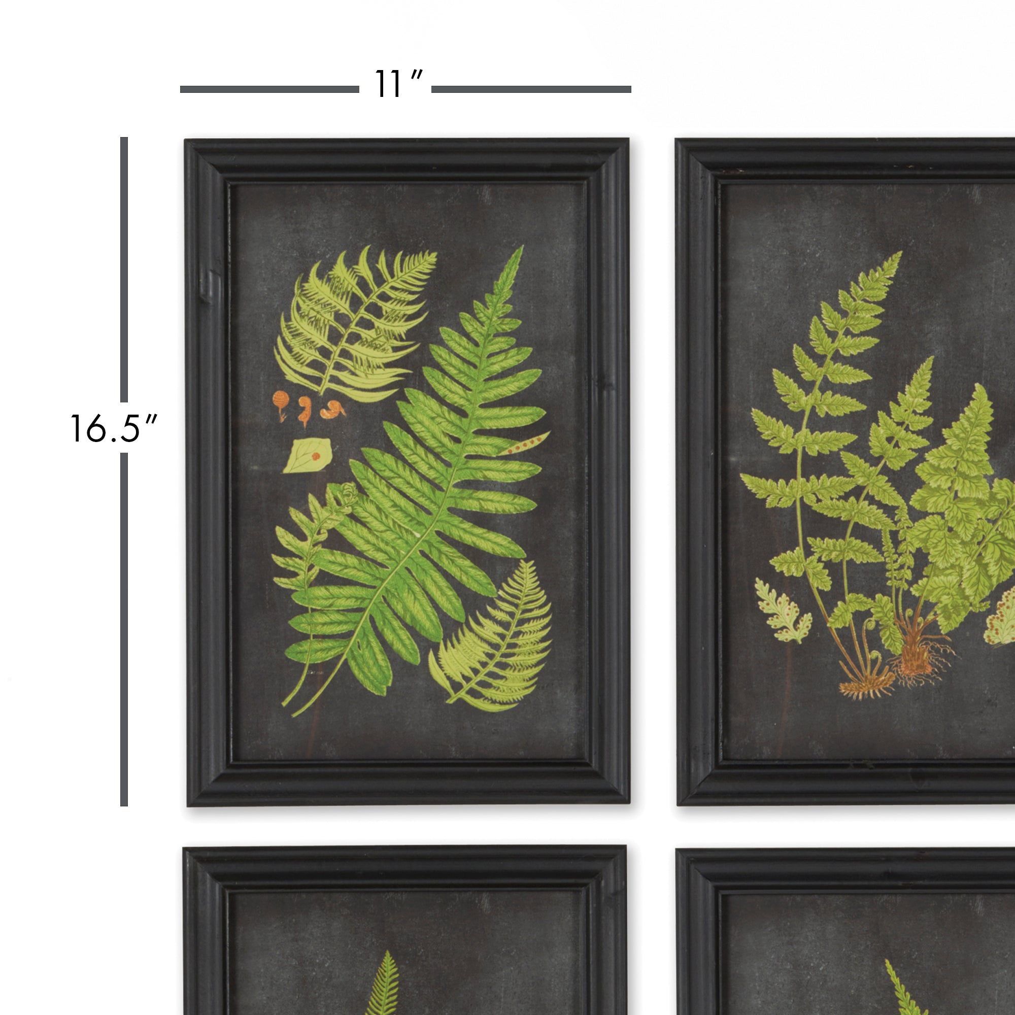 FRAMED FERN BOTANICAL PRINTS, SET OF 9 - view 2