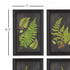 FRAMED FERN BOTANICAL PRINTS, SET OF 9 - view 2