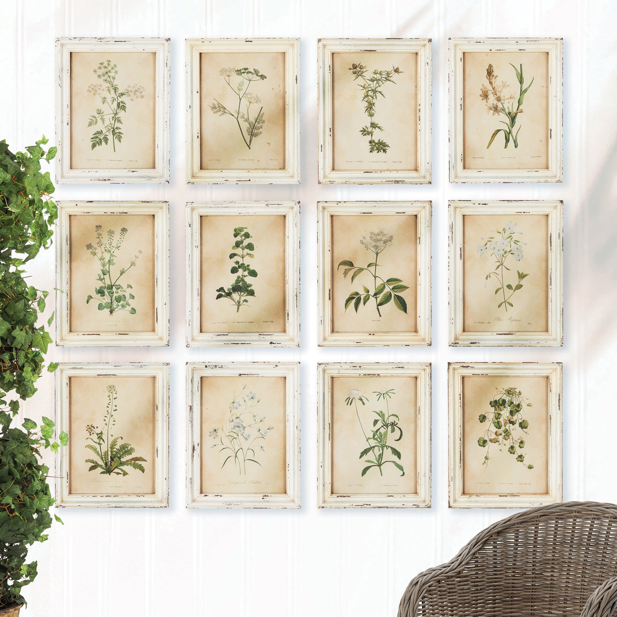 FRAMED WILD FLOWER BOTANICAL PRINTS, SET OF 12 - view 4