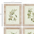 FRAMED OLIVE LEAF BOTANICAL PRINTS, SET OF 4 - view 2