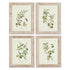 FRAMED OLIVE LEAF BOTANICAL PRINTS, SET OF 4