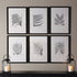 FRAMED GRAY-TONE FERN PRINTS, SET OF 6 - view 3