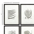 FRAMED GRAY-TONE FERN PRINTS, SET OF 6 - view 2
