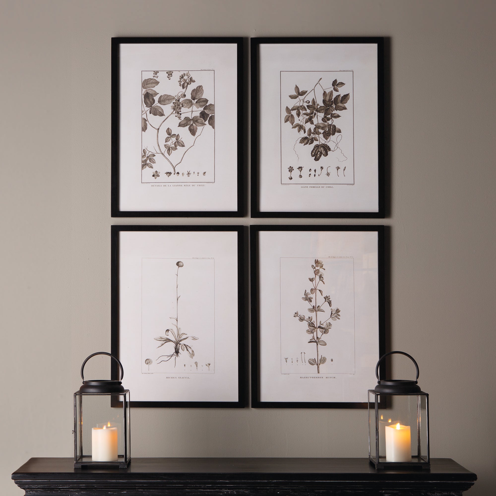 FRAMED SEPIA-TONE BOTANICAL PRINTS, SET OF 4 - view 3