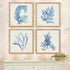 FRAMED CORAL WATERCOLOR PRINTS, SET OF 4 - view 5
