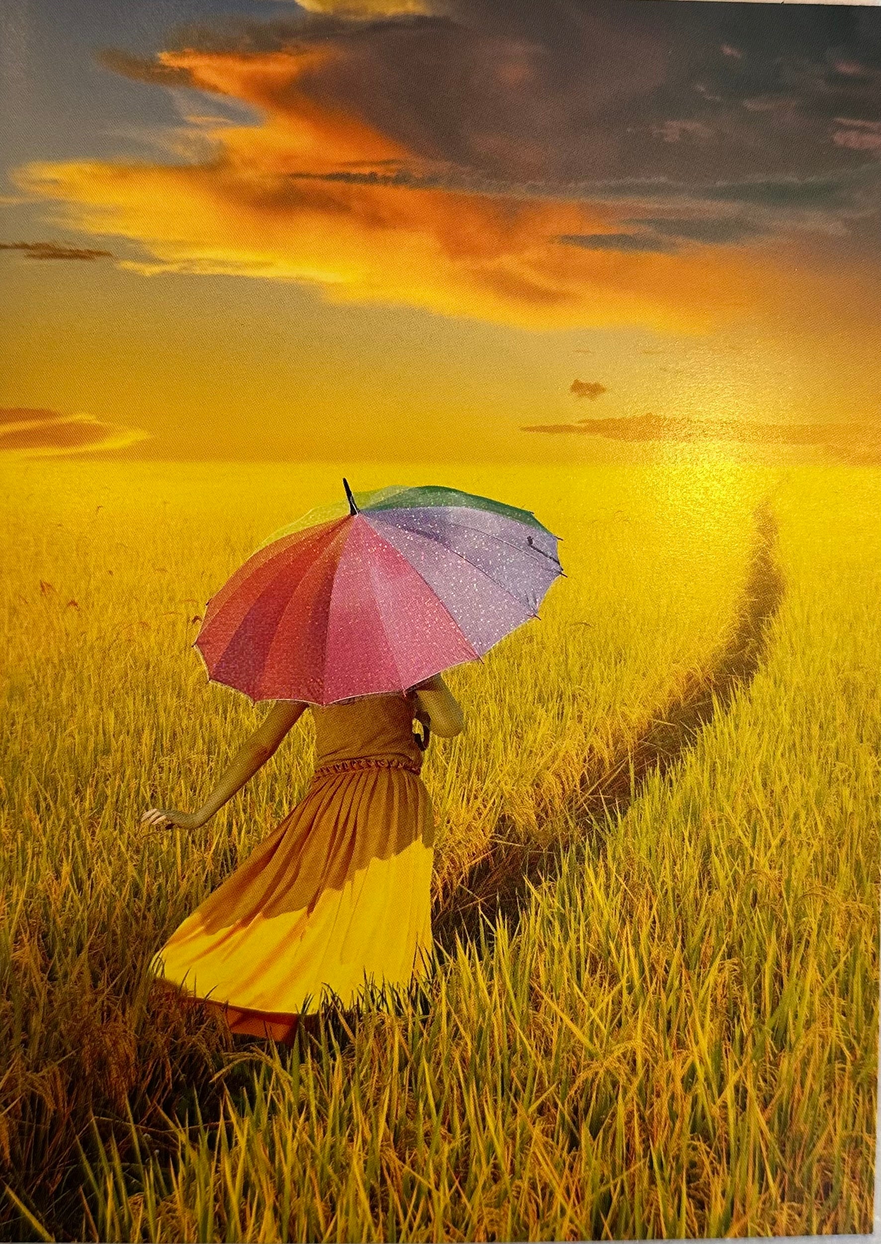 RAINBOW UMBRELLA MEADOW CARD - A. Dodson's