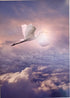 STORK IN SKY CARD - A. Dodson's