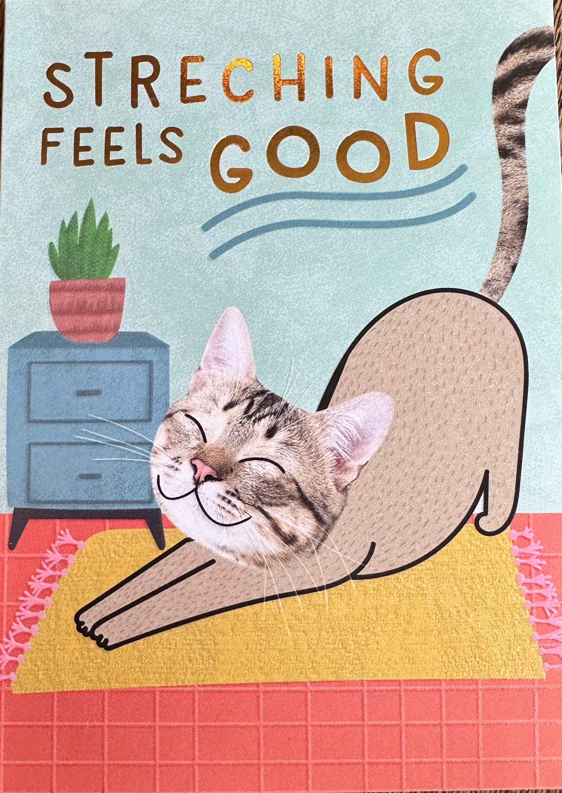 CAT STRETCH CARD - A. Dodson's