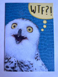WTF OWL CARD