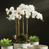 PHALAENOPSIS ORCHID BOWL DROP-IN 25" - view 3