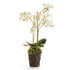 PHALAENOPSIS ORCHID DROP-IN 20"