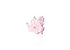 HAPPY EVERYTHING SPARKLE CROWN MINI ATTACHMENT - A. Dodson's