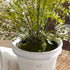 MAIDENHAIR DROP-IN 30" - view 5