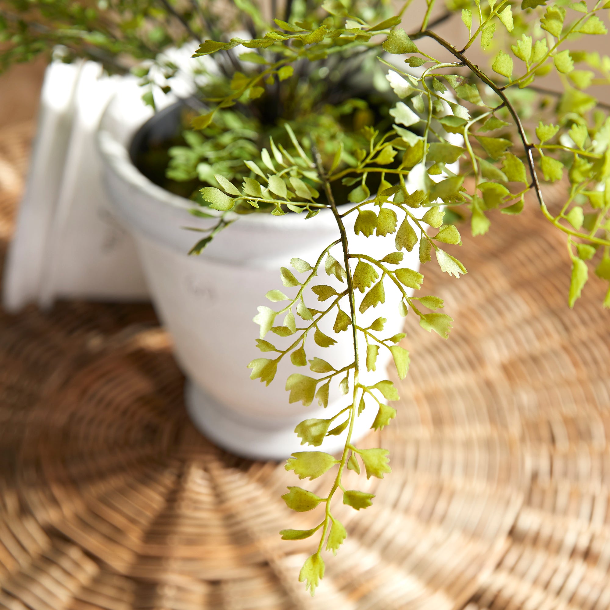 MAIDENHAIR DROP-IN 30" - view 6