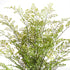 MAIDENHAIR DROP-IN 30" - view 3