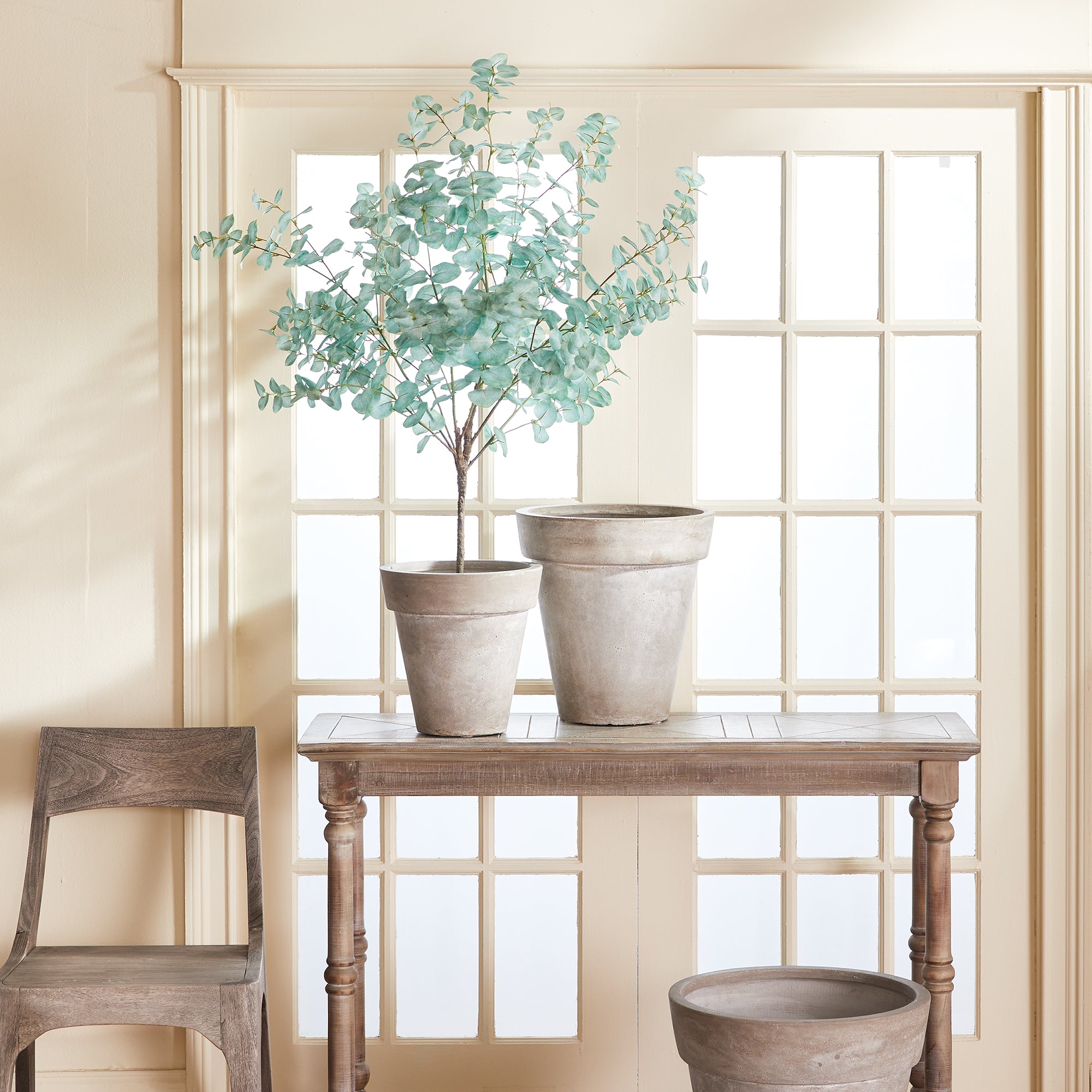 Eucalyptus Tree Drop-In 49" - View 3