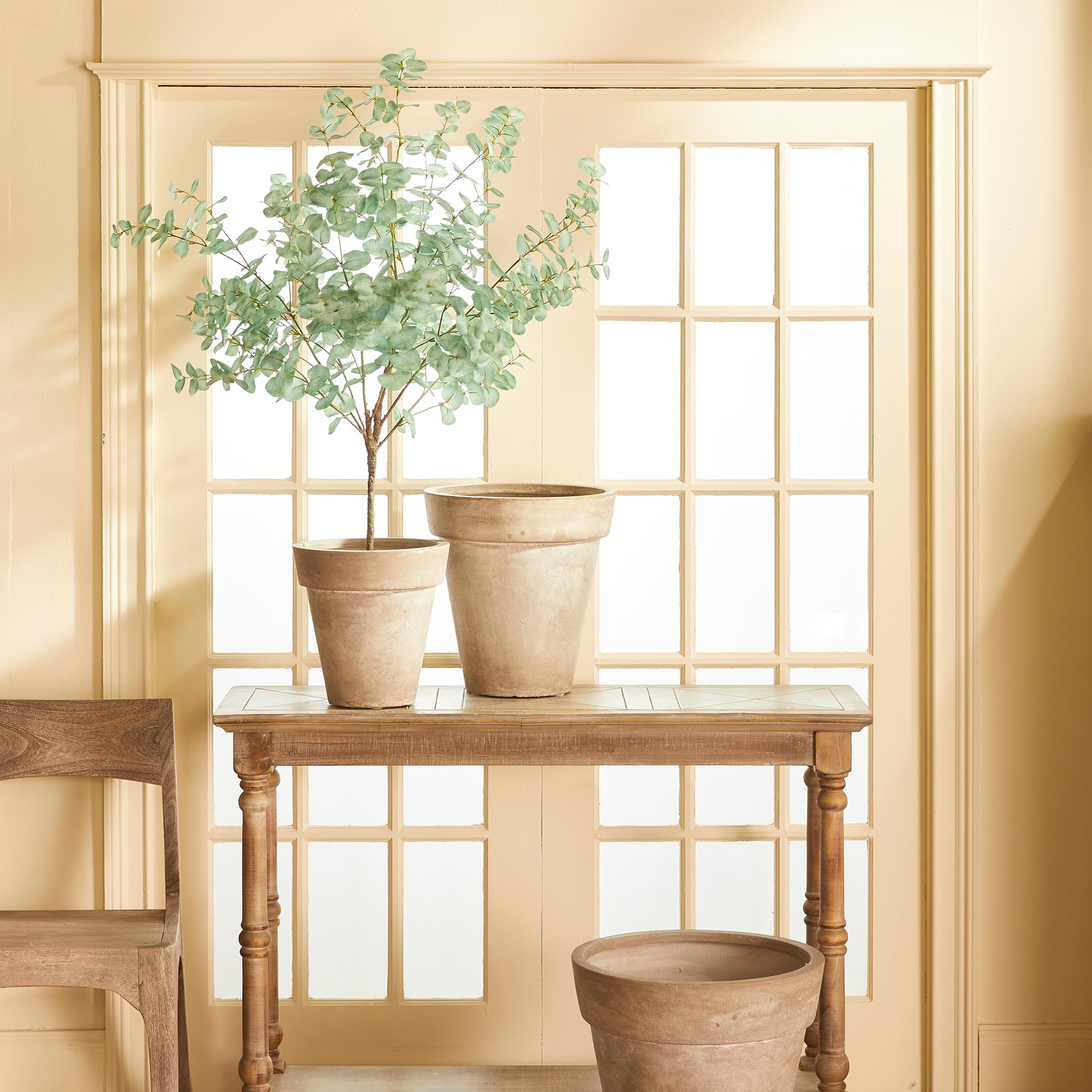 Eucalyptus Tree Drop-In 49" - View 4