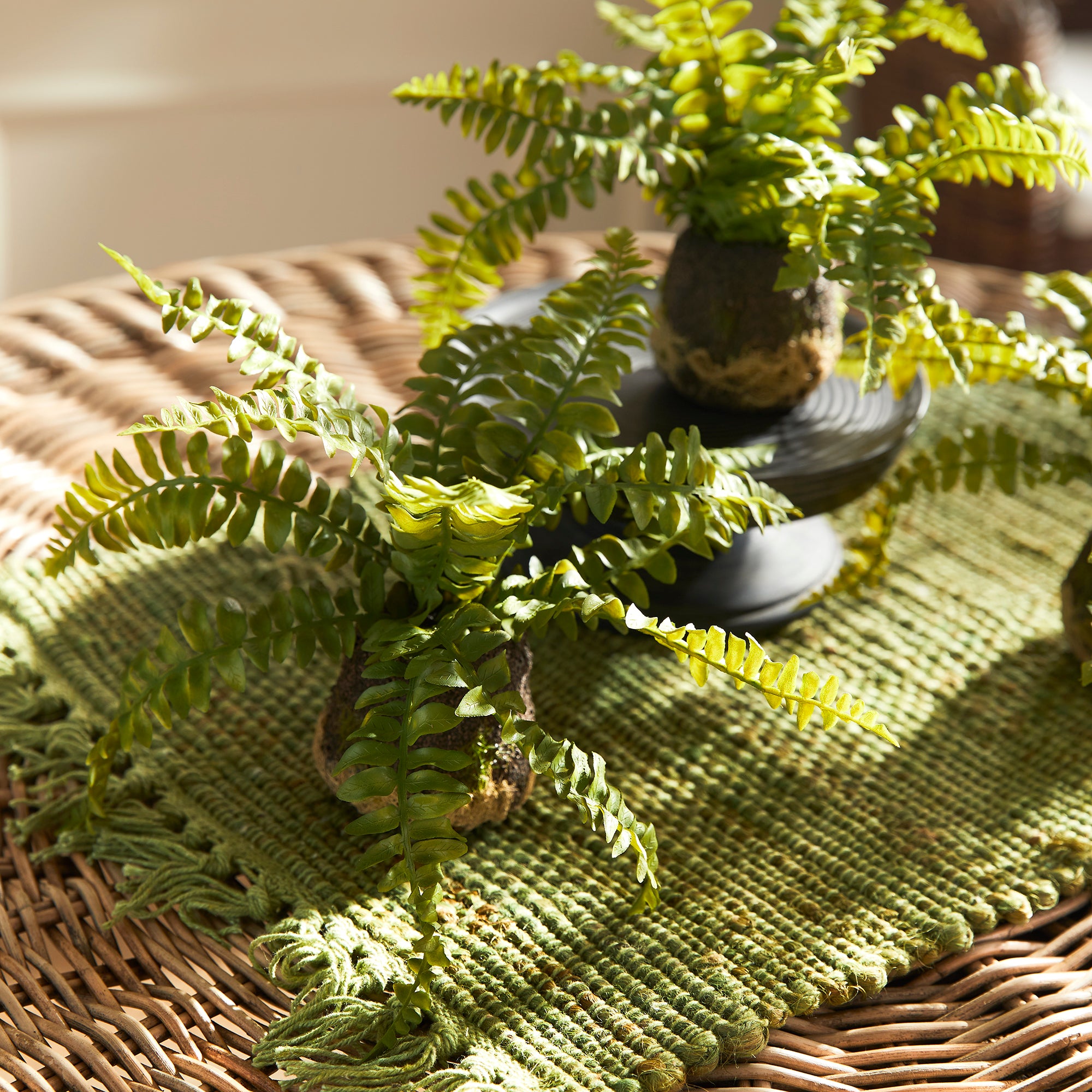 BOSTON FERN DROP-INS, SET OF 3 - view 4
