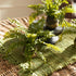 BOSTON FERN DROP-INS, SET OF 3 - view 4
