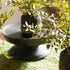 Maidenhair Drop-Ins, Set Of 3 - View 5